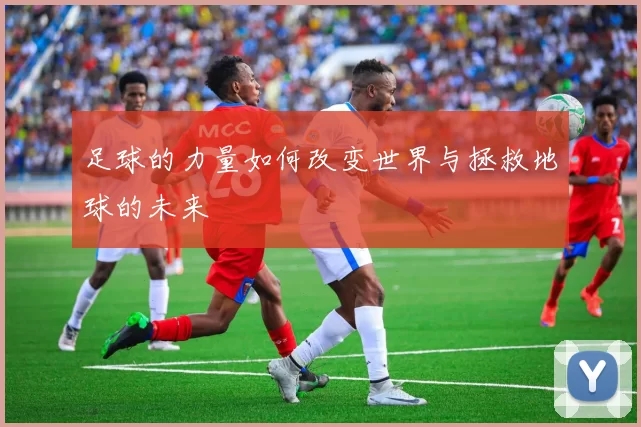 足球的力量如何改变世界与拯救地球的未来