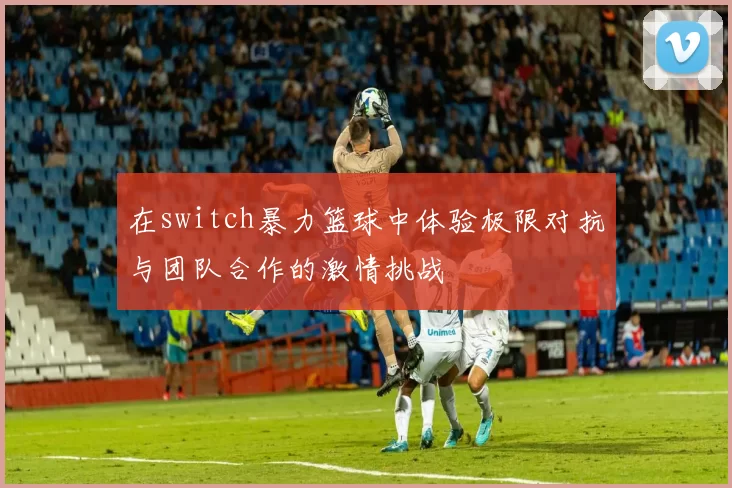 在switch暴力篮球中体验极限对抗与团队合作的激情挑战